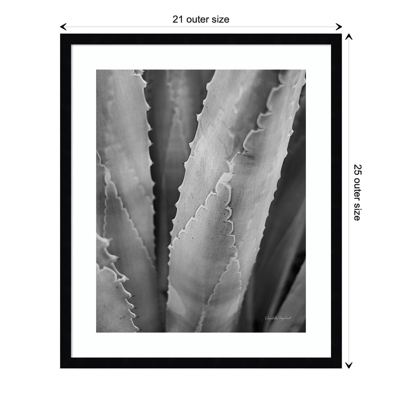 Abstract Agave I by Elizabeth Urquhart Wood Framed Wall Art Print
